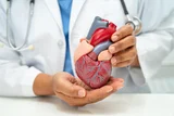 Hridya Mahakashaya: Powerful Ayurvedic Formula for Heart Health