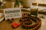 Rudraksha: The Mystical Bead with Spiritual and Medicinal Power