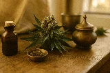 Vijaya Herb: Ancient Healing Power