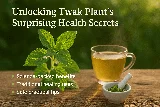 Twak Plant: Uses, Benefits, and Scientific Insights