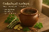 Guduchyadi Kashaya: Benefits, Research, and Expert Insights
