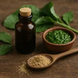 Ayurvedic Medicine for Gastritis: What Actually Works (And What Doesn’t)