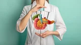 Endocrine System