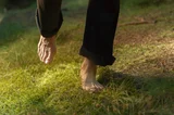 Walking on Grass: An Ayurvedic Insight