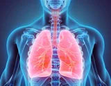 Respiratory system