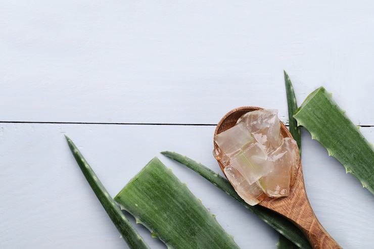 aloe vera for Dandruff ayurveda