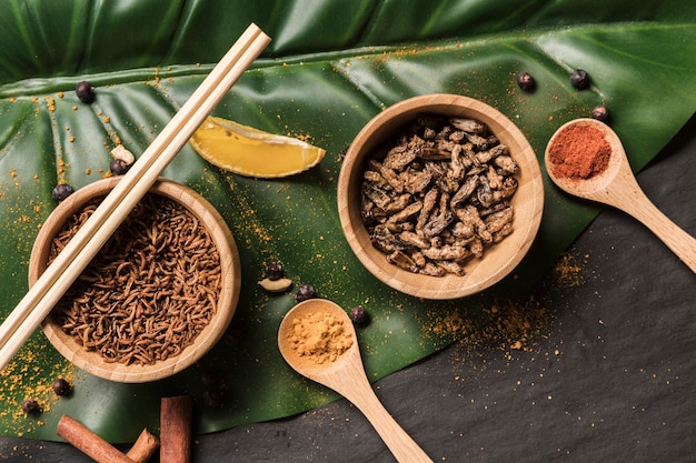 Fried bugs in bowls with spices on monstera leaf