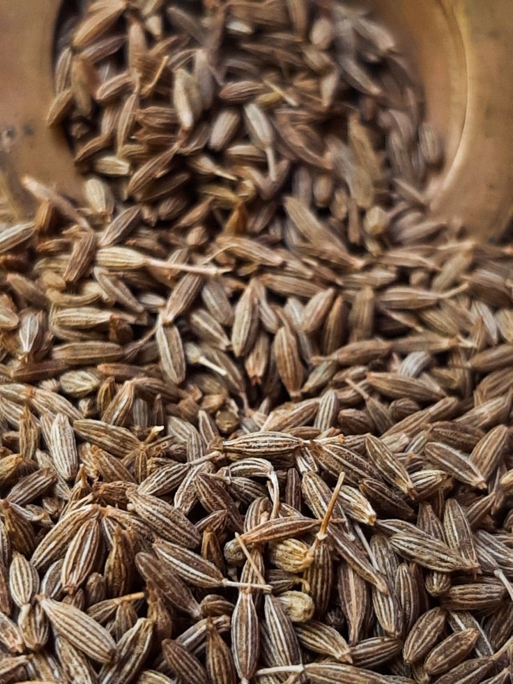 This may contain: a pile of seeds sitting on top of a table