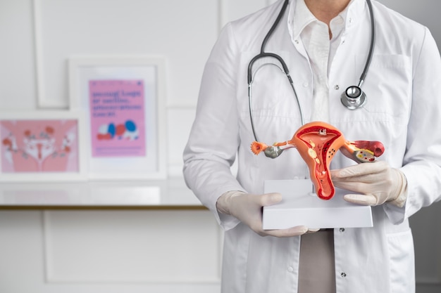 integration Endometriosis Ayurveda 
