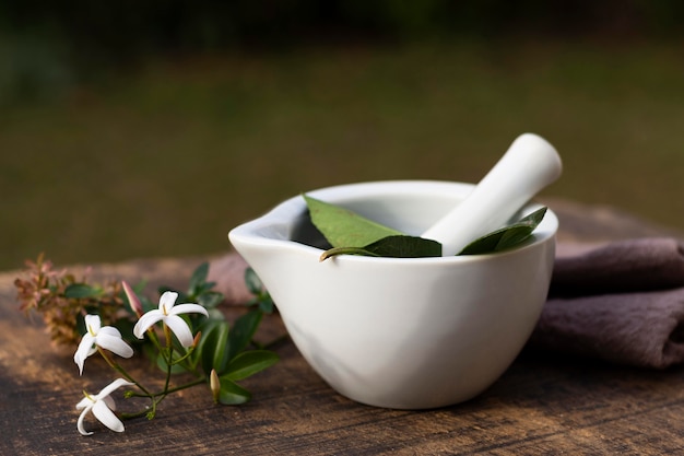 Close-up bowl with plants
