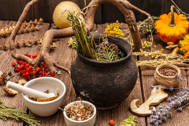 Pathyadi Kashayam dosage