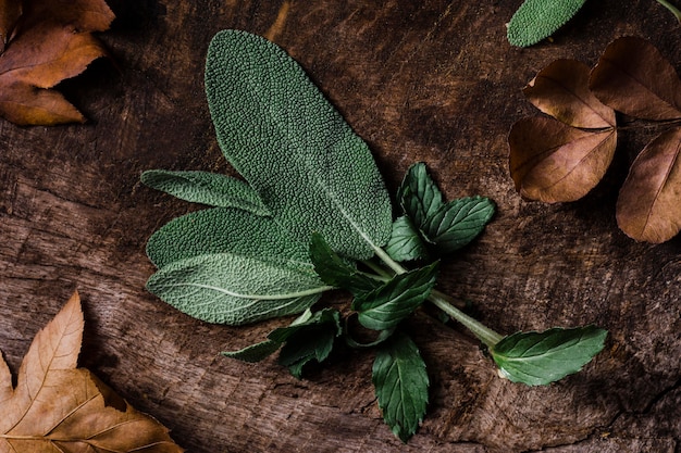 Top view leaves on cutting board