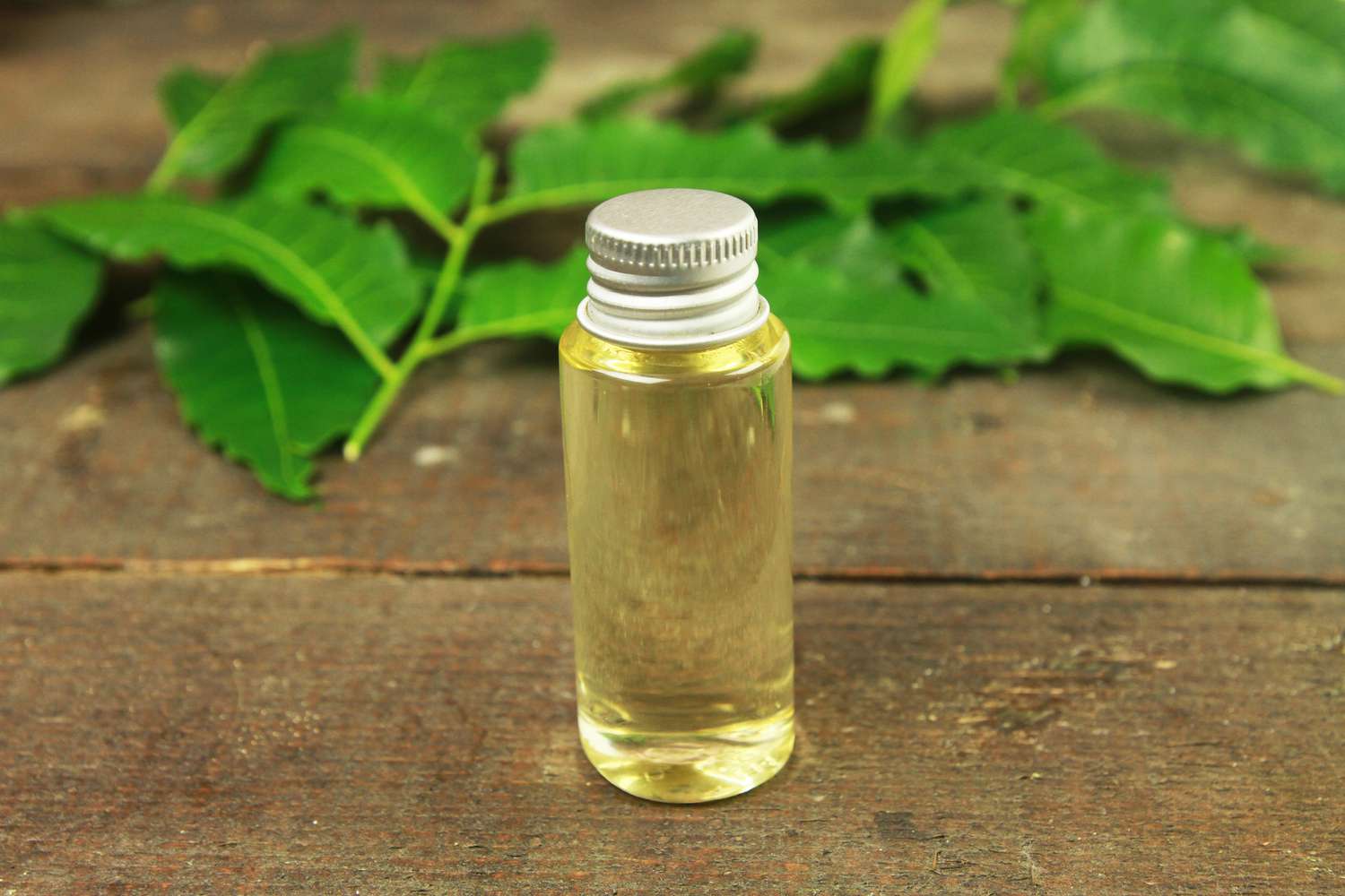 Neem Oil for Eczema: Safety, Benefits, and Interactions