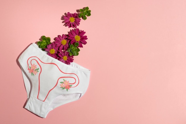 Reproductive system on white underwear flat lay
