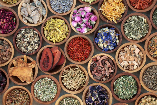 118,000+ Ayurveda Stock Photos, Pictures & Royalty-Free Images - iStock |  Ayurvedic herbs, Ayurveda food, Meditation