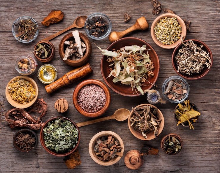 Assorted dried medical herbs
