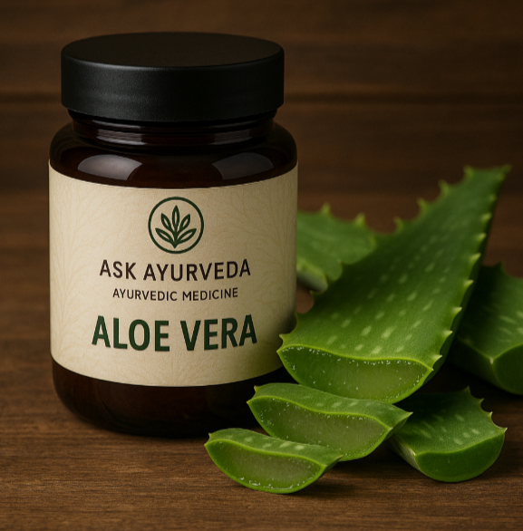 welche aloe vera essbar Aloe Vera Zum Essen in Taquitos – Aloe Vera Las Coronas main image 0